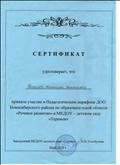 Сертификат участника в Педагогическом марафоне ДОО Новосибирского района по образовательной области №Речевое развитие", 2018г.